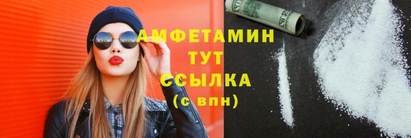 гидра Дмитров