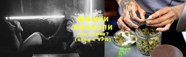 дмт Дмитровск