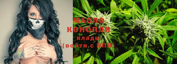 мет Ельня