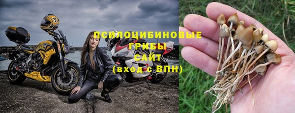 гидра Дмитров