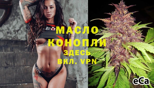 дмт Дмитровск