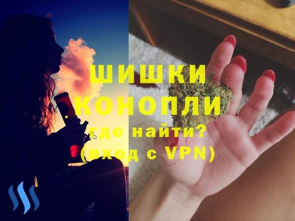 гидра Дмитров