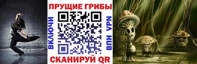 Псилоцибиновые грибы Psilocybine cubensis Зерноград