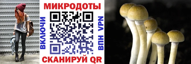 Псилоцибиновые грибы MAGIC MUSHROOMS  Купить где  Зерноград 